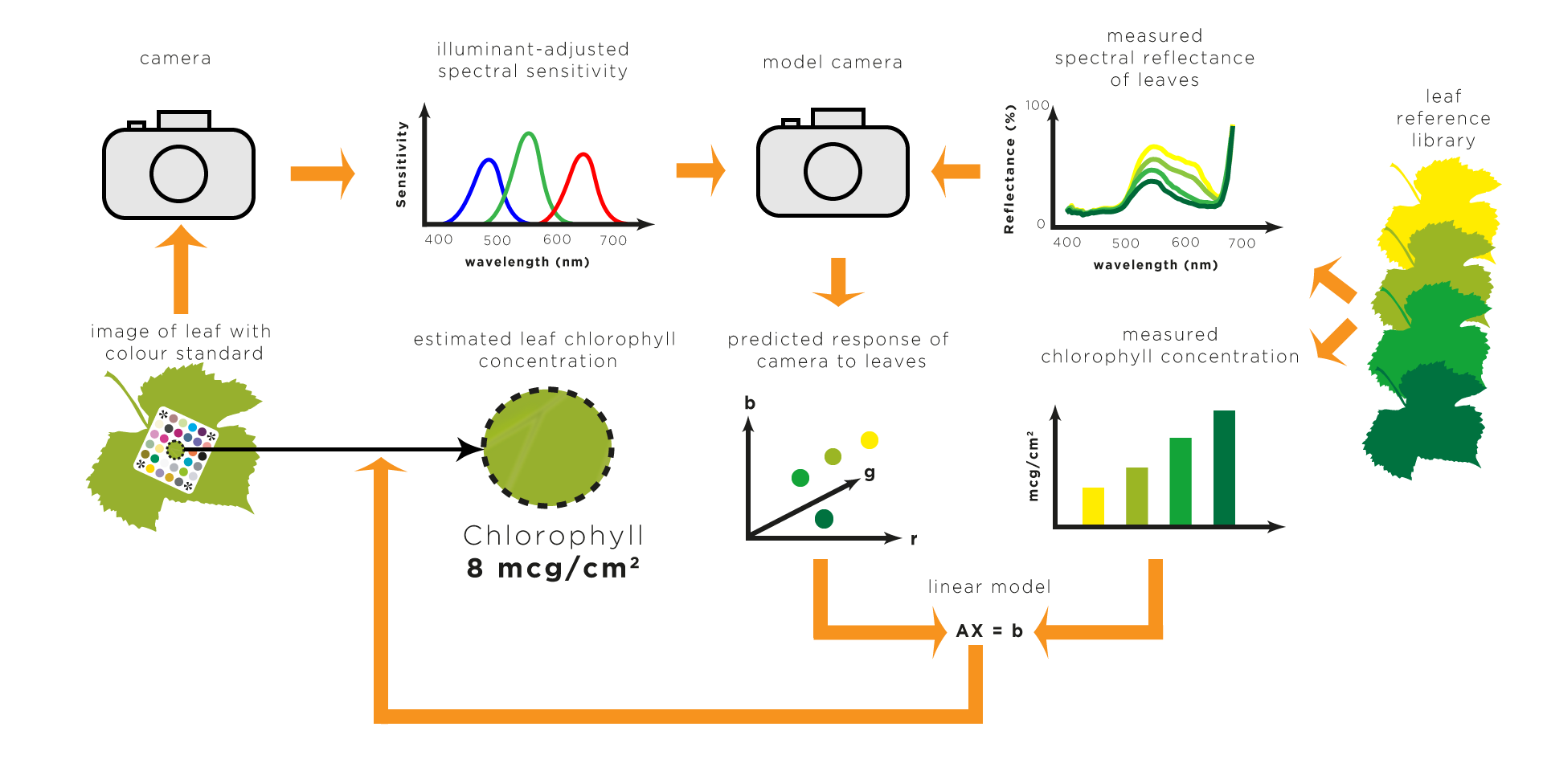 Description of image